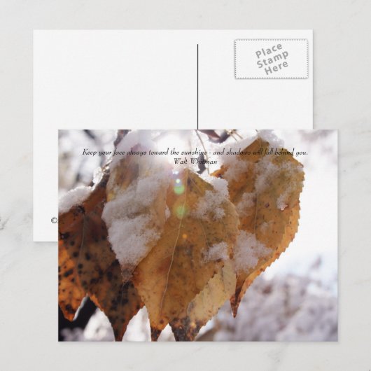 Verlaat in de herfst voor de herfst briefkaart (Voorkant / Achterkant)