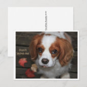 Verlaat    me niet Verlass Mich nicht Briefkaart (Voorkant / Achterkant)