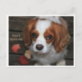 Verlaat    me niet Verlass Mich nicht Briefkaart (Voorkant)