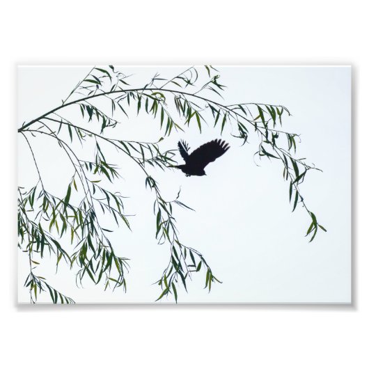 Verlaat niet foto afdruk (Voorkant)