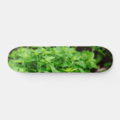 Verlaat skateboard (Horizontaal)