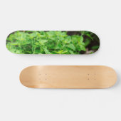 Verlaat skateboard (Horizontaal)