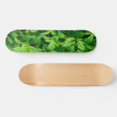 Verlaat Skateboard 2 (Horizontaal)