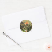 Verlaat Stickers (Envelop)