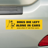 VERLAAT UW PETS ALLEEN IN EEN AUTO BUMPERSTICKER (Op auto)