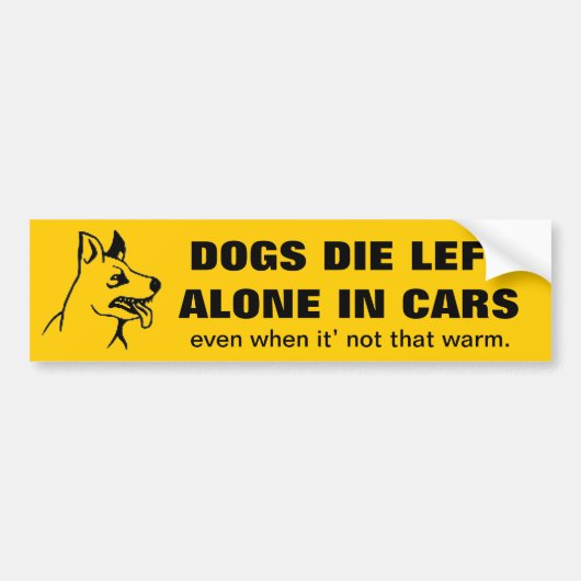 VERLAAT UW PETS ALLEEN IN EEN AUTO BUMPERSTICKER (Voorkant)