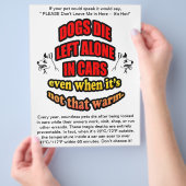 VERLAAT UW PETS ALLEEN IN EEN AUTO FLYER (Hand)