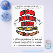 VERLAAT UW PETS ALLEEN IN EEN AUTO FLYER (Enkel)