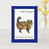 Verlaat Verjaardag Kaart - Longhaired Brown Tabby  (Gele Bloem)