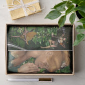 Verlangen uit het fee-koninkrijk tissuepapier (Geschenk)