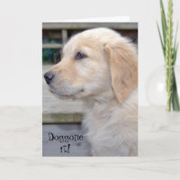 Verlate verjaardag-gouden retriever puppy