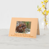 Verlate verjaardag, humoristisch kaart (Gele Bloem)