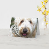 VERLATE VERJAARDAG KAART - NEE, ZEG ME DAT HET NIE (Gele Bloem)