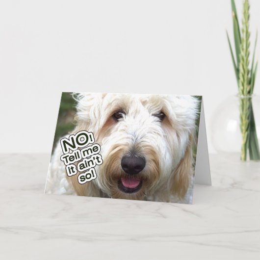 VERLATE VERJAARDAG KAART - NEE, ZEG ME DAT HET NIE (Voorkant)