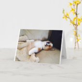 Verlate verjaardag Kaart - Sleeping Corgi Puppy (Gele Bloem)