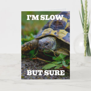 VERLATE VERJAARDAG SCHILDPAD GROOT WENSKAART BEDANKKAART