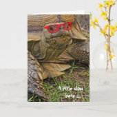 Verlate Verjaardag Tortoise in zonnebril Kaart (Gele Bloem)