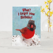 VERLATE VERJAARDAG - WAT? IK BEN JE VERJAARDAG VER KAART (Gele Bloem)