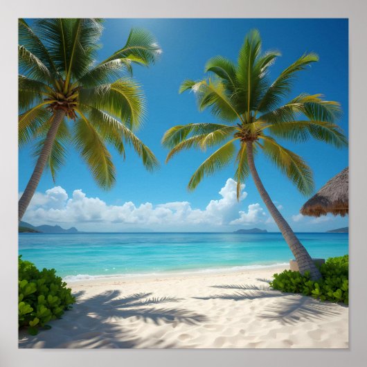 Verlaten Amerikaans strand Poster (Voorkant)