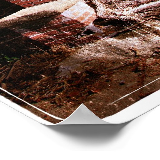 Verlaten baksteen en wijnstokken poster (Hoek)