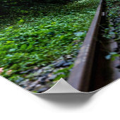 verlaten bos met treinsporen poster (Hoek)