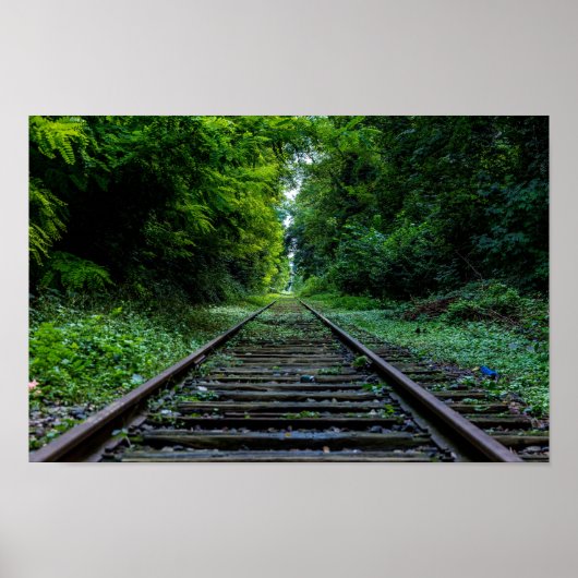 verlaten bos met treinsporen poster (Voorkant)