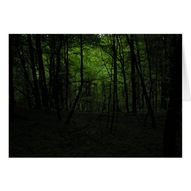 Verlaten donker bos (Voorkant Horizontaal)