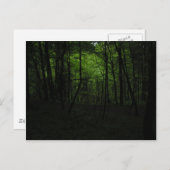 Verlaten donker bos briefkaart (Voorkant / Achterkant)