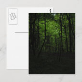 Verlaten donker bos briefkaart (Voorkant / Achterkant)