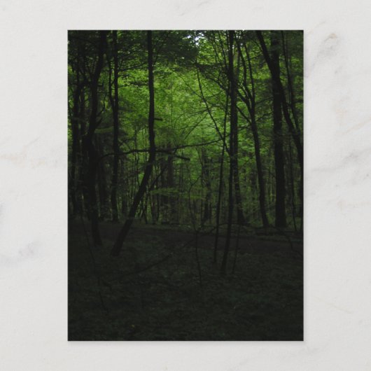 Verlaten donker bos briefkaart (Voorkant)