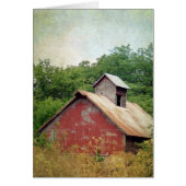 Verlaten en overgeteelde rode Barn (Voorkant)