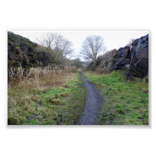 Verlaten Halifax High Level Railway Foto Afdruk (Voorkant)