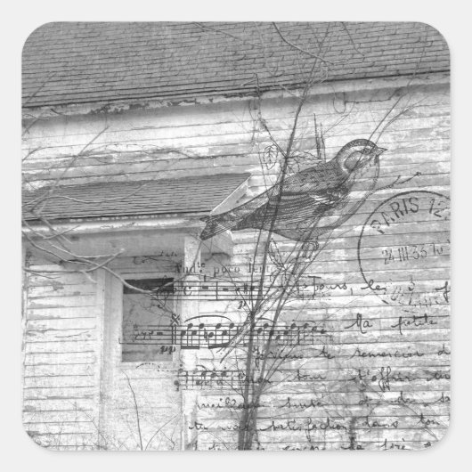Verlaten House Bird Music Edit Vierkante Sticker (Voorkant)