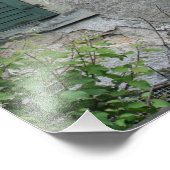 Verlaten huis, Bazel, Zwitserland Foto Afdruk (Hoek)