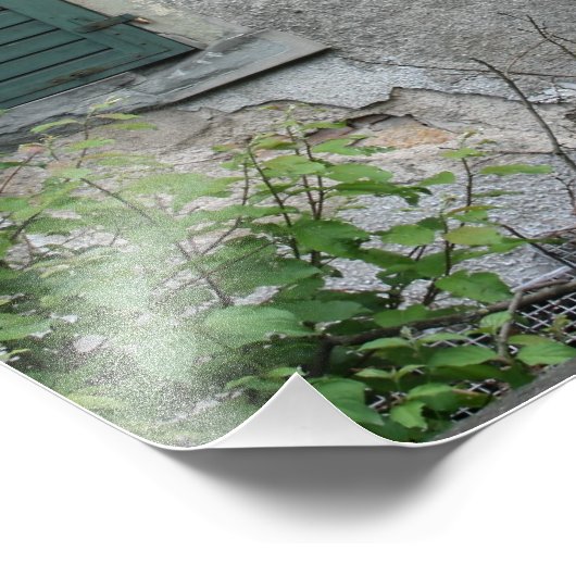 Verlaten huis, Bazel, Zwitserland Foto Afdruk (Hoek)