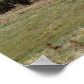 Verlaten huis in het land poster (Hoek)