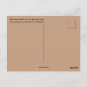 Verlaten huis op de wind geveegd Kansas Prairie Briefkaart (Achterkant)