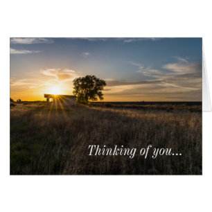 Verlaten kleurde zonnezonnesteek van de kleurstof