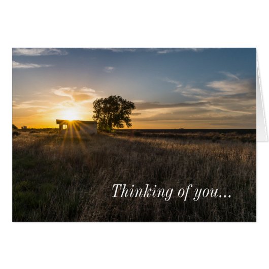 Verlaten kleurde zonnezonnesteek van de kleurstof  (Voorkant Horizontaal)