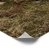 Verlaten landschap poster (Hoek)