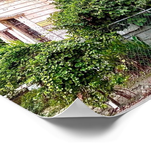 Verlaten Mansion Colonial Mexico Poster (Hoek)