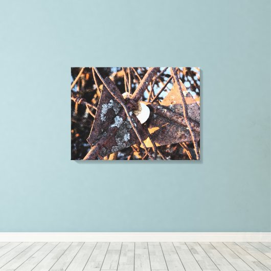 Verlaten omheining canvas afdruk (Insitu (Houten vloer))