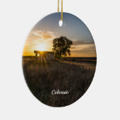 Verlaten Ornament van Shed Colorado Sunset Circle (Rechts)