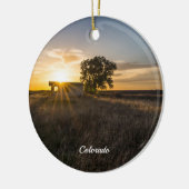 Verlaten Ornament van Shed Colorado Sunset Circle (Links)