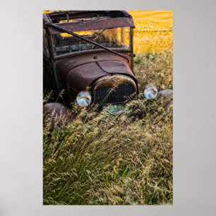 Verlaten oude auto in hoog gras poster