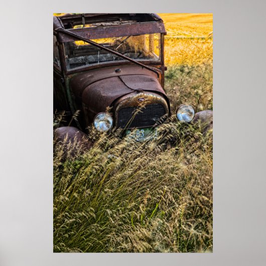 Verlaten oude auto in hoog gras poster (Voorkant)
