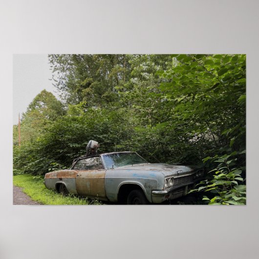 Verlaten oude auto Poster (Voorkant)