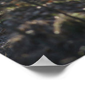 verlaten pad in de bossen poster (Hoek)