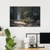 verlaten pad in de bossen poster (Thuiskantoor)