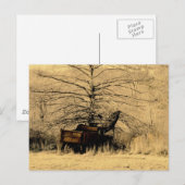 Verlaten pompwagen briefkaart (Voorkant / Achterkant)